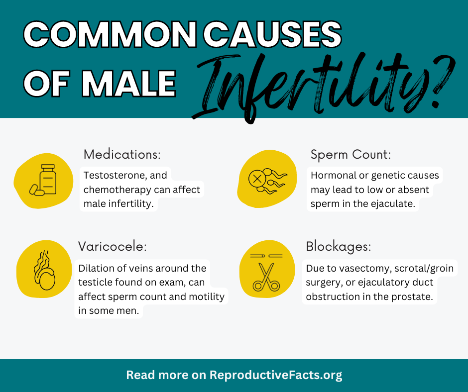 Common Causes of Male Infertility.png