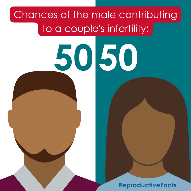 Male 50-50 contribution to infertility 