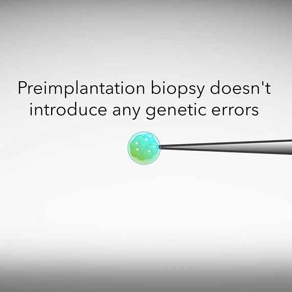 Preimplantation biopsy doesn't introduce any genetic errors