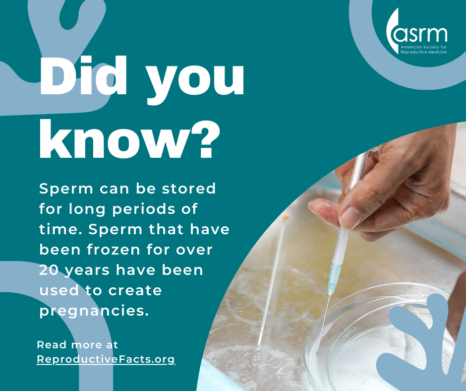 Sperm can be frozen for more than 20 years.