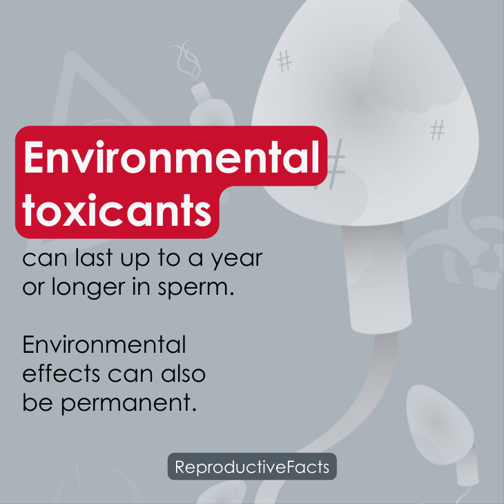 Environmental Toxicants can last up to a year in sperm