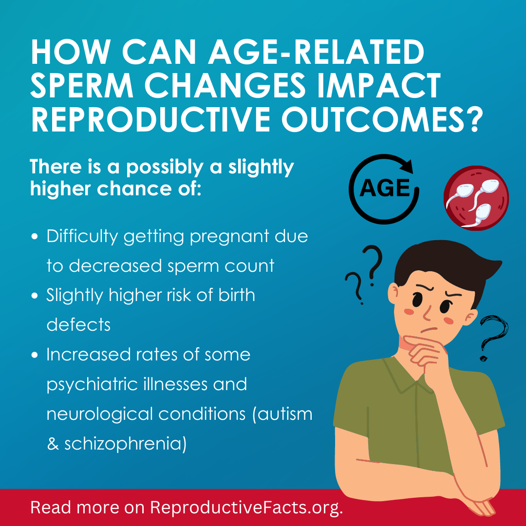 How does older sperm affect reproductive outcome