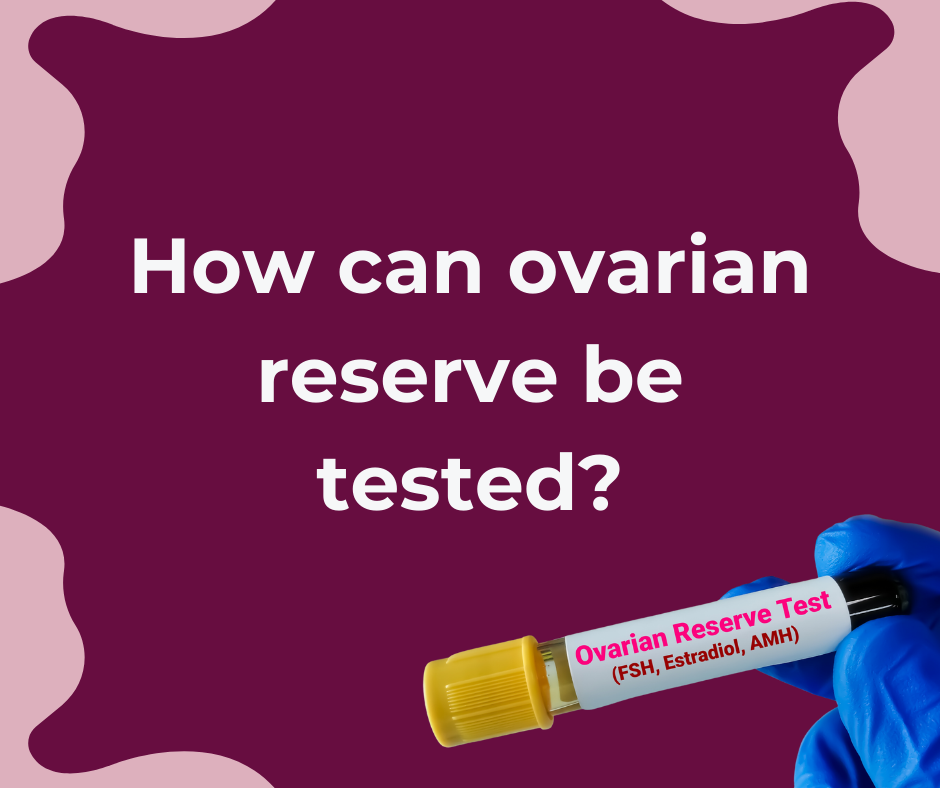 Ovarian Reserve 7.png