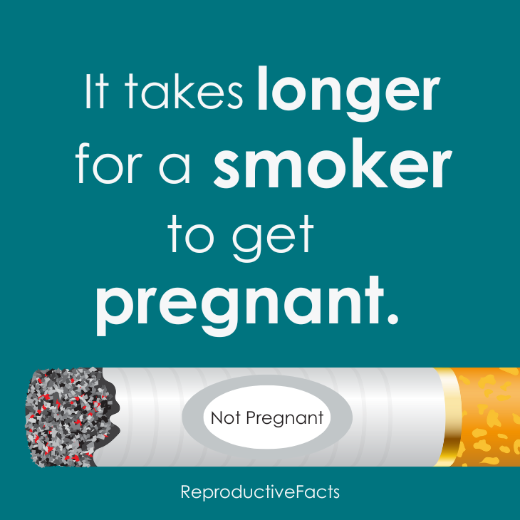 Smoking and infertility